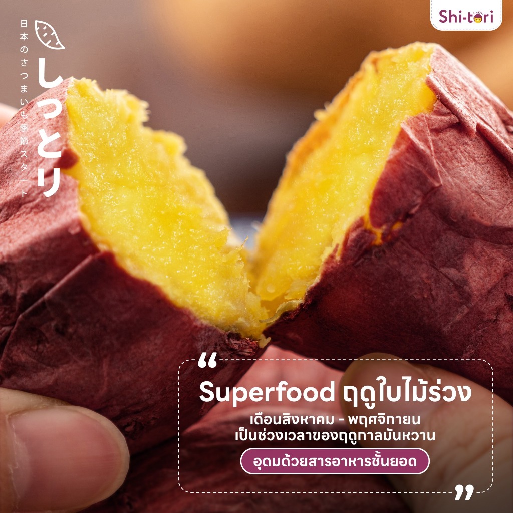 ShiTori | มันหวานญี่ปุ่น เบนิฮารุกะ Size M แพ็ค 500G. / 1Kg / 2Kg / 3Kg - 2