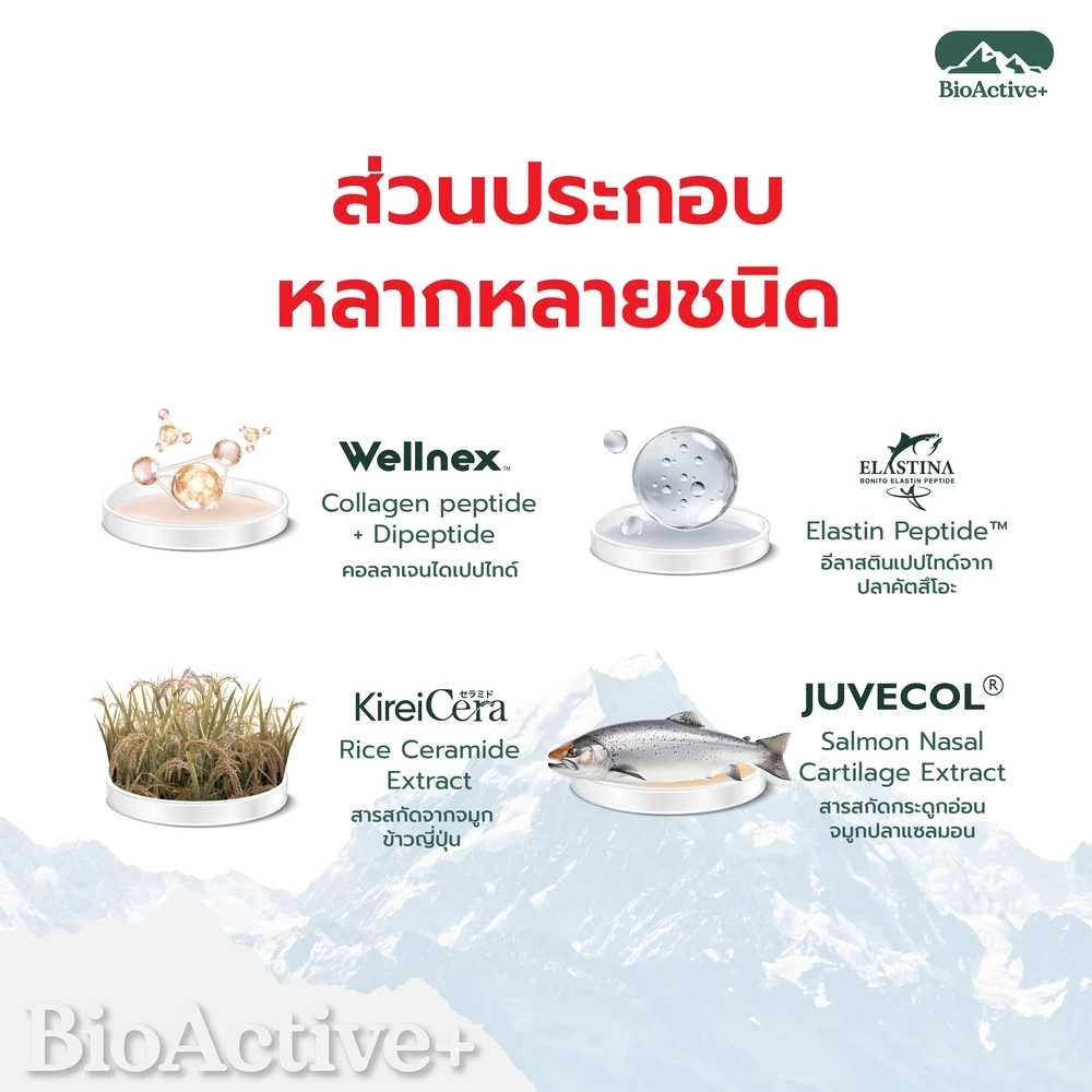 BioActive+ Concentrated Liquid ไบโอแอคทีฟพลัส 3 กล่อง thumbnail 4
