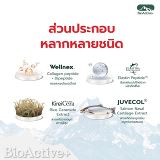 [Collagen ตะกร้ารวม] BioActive+ Concentrated Liquid Collagen รสชาติ มิกซ์เบอร์รี่