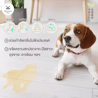 Washiワシ น้ำยาทำความสะอาดพื้น ดับกลิ่นฉี่สัตว์เลี้ยง หอม สะอาด สดชื่น น้ำยาถูพื้น สูตรอ่อนโยนต่อสัตว์เลี้ยง