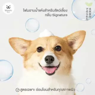 Washiワシ โฟมอาบน้ำแห้งสัตว์เลี้ยง สูตรอ่อนโยน ไม่ต้องล้างน้ำออก ขนสะอาดนุ่มลื่น แชมพูอาบน้ำแห้ง สุนัข แมว