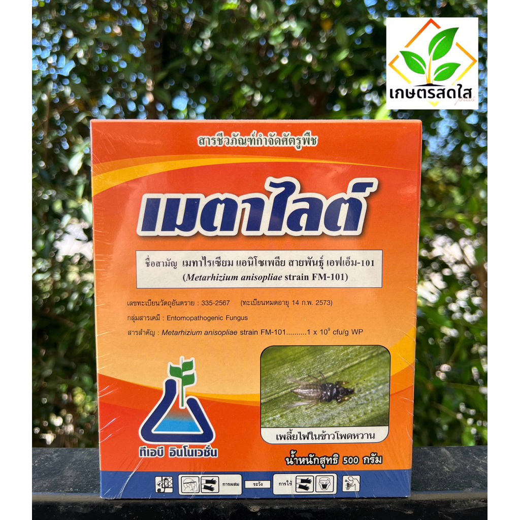 เมตาไลต์ *ขนาด 500 กรัม เชื้อราเมทาไรเซียม แอนนิโซเพลีย กำจัดแมลงครอบคลุมทุกช่วงระยะการเจริญเติบโตของแมลง