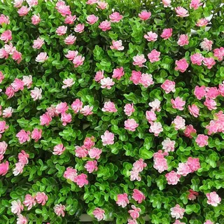 【คูปองพิเศษ】หญ้าเทียม 40x60cm. หญ้าตีนเป็ด หญ้ามิลาน ใบเฟิรน์ ยูคา กำแพงสวนรั้วต้นไม้ปลอม หญ้าติดผนัง ร้านกาแฟ รั้วกำแพง