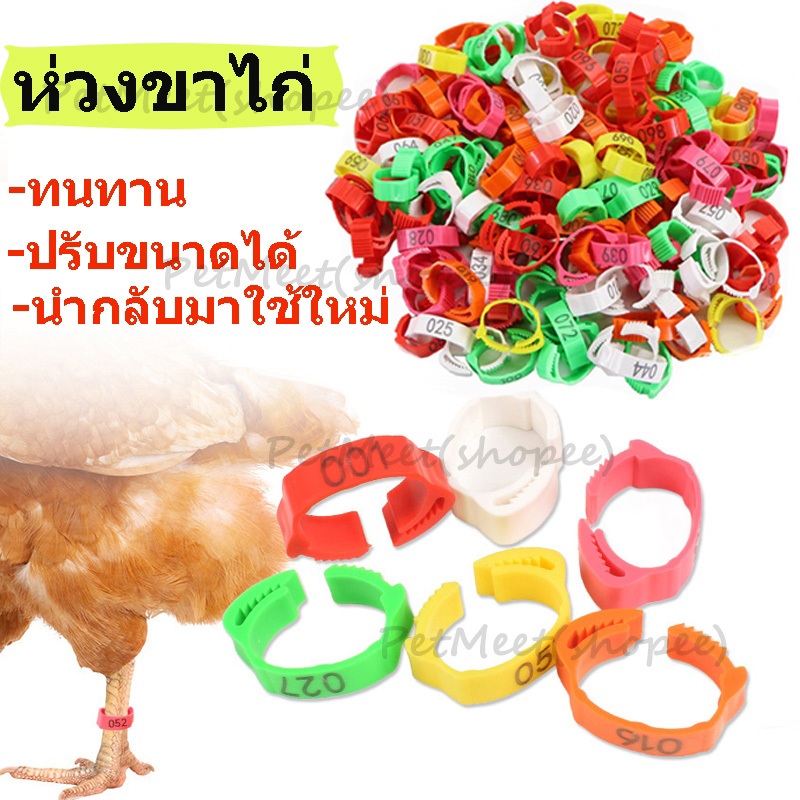 ถูก🎉100ชิ้น ห่วงขาไก่ ปรับขนาดได้ ห่วงขาไก่ชน ใช้ซ้ําได้ ห่วงข้อเท้าไก่ แหวนไส่เท้าไก่ อุปกรณ์ไก่ชน