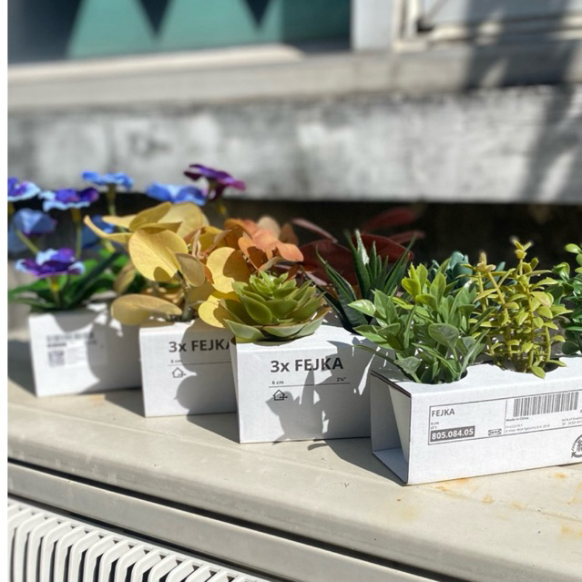 Fejka ไม้ประดิษฐ์ในกระถางสีขาว คละแบบ 3 ชิ้น/เซ็ต By IKEA