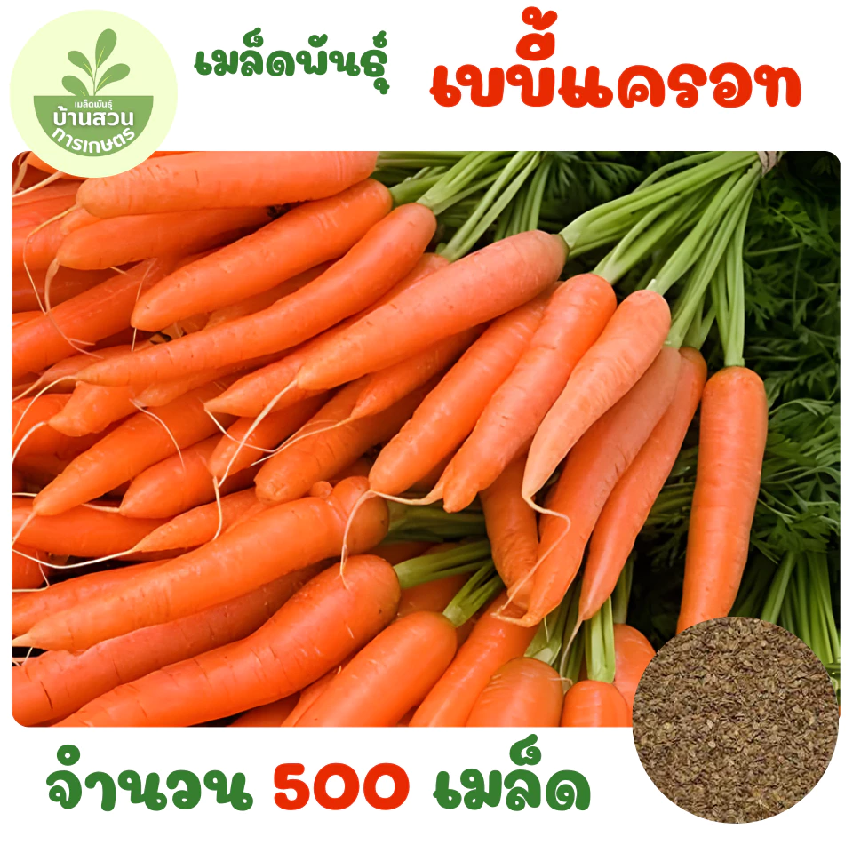 เมล็ดพันธุ์เบบี้แครอท จำนวน 500 เมล็ด