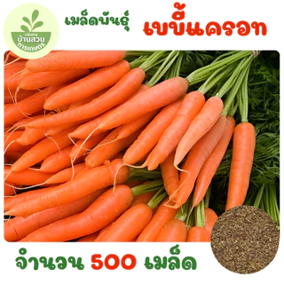 เมล็ดพันธุ์เบบี้แครอท จำนวน 500 เมล็ด