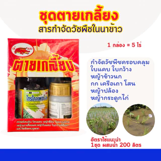 ชุดตายเกลี้ยง สารกำจัดวัชพืชในนาข้าว ครอบคลุมใบแคบและใบกว้าง หญ้าข้าวนก หญ้ากระดูกไก่ กก แห้วหมู หญ้าขน โสน 1ชุด200ลิตร