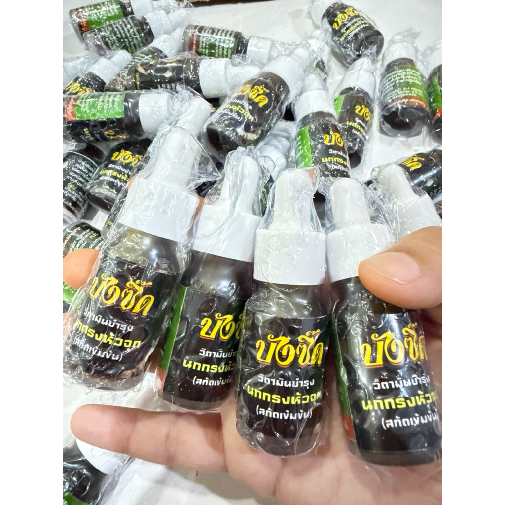 บังซิ๊ด วิตามินบำรุงนกกรงหัวจุก 1 ขวด 159.-