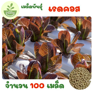 เมล็ดพันธุ์เรดคอส จำนวน 100 เมล็ด