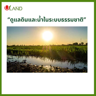 ULAND EM Ball Bio-3 ชุด 10 ลูก จุลินทรีย์ย่อยสลายอินทรียวัตถุในดิน เศษพืช ตอซังข้าว และน้ำธรรมชาติ