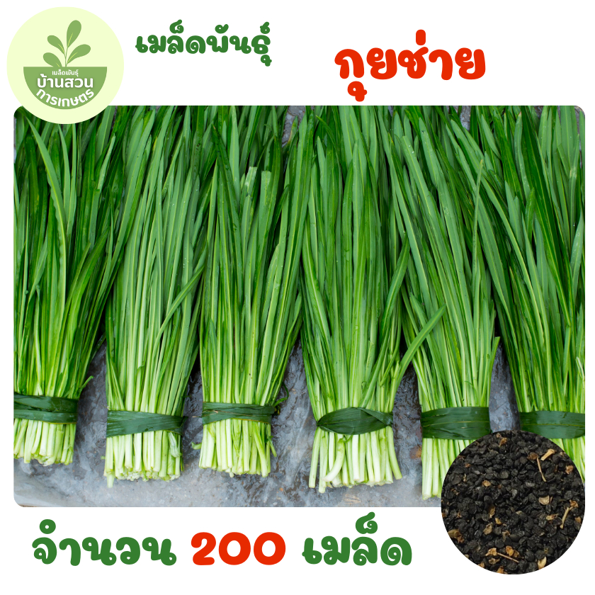 เมล็ดพันธุ์กุยช่าย จำนวน  200 เมล็ด