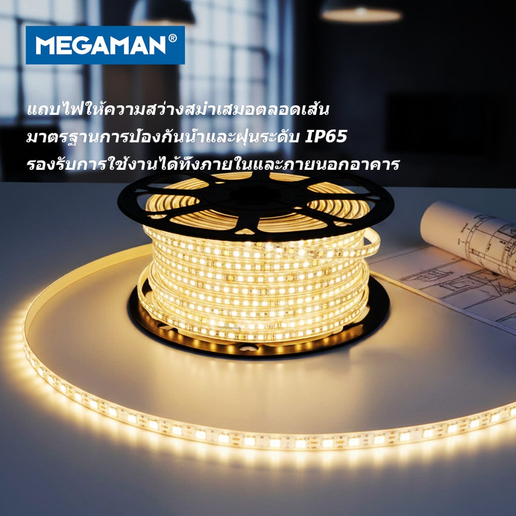 Megaman ไฟเส้น LED สำหรับตกแต่ง ต่อกับไฟบ้าน 220V ความยาว 5 เมตร 120 ดวง/เมตร วอร์มไวท์ คูลเดย์ไลท์