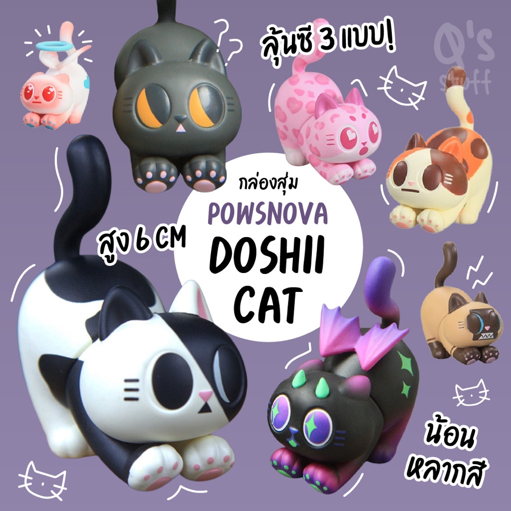 PAWSNOVA Doshii Cat PaPa cat น้องแมวยืดตัว
