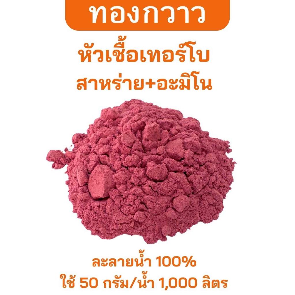 หัวเชื้อเทอร์โบ (สาหร่ายโอลิโกแซ็กคาไรด์+อะมิโน) ผงแดง ตรา ทองกวาว 10 กรัม ละลายน้ำได้ สกัดเข้มข้น