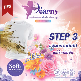 Dearny น้ำยาซักผ้า กลิ่น ลัช บลูม 2000 มล. x 4 ขวด ซักสะอาด กลิ่นหอมฟรุ้ตตี้ ประหยัดคุ้มค่า
