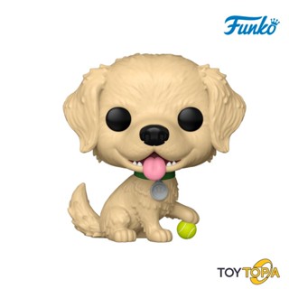 (88327) Golden Retriever (15) POP! Pets: Pets by Funko