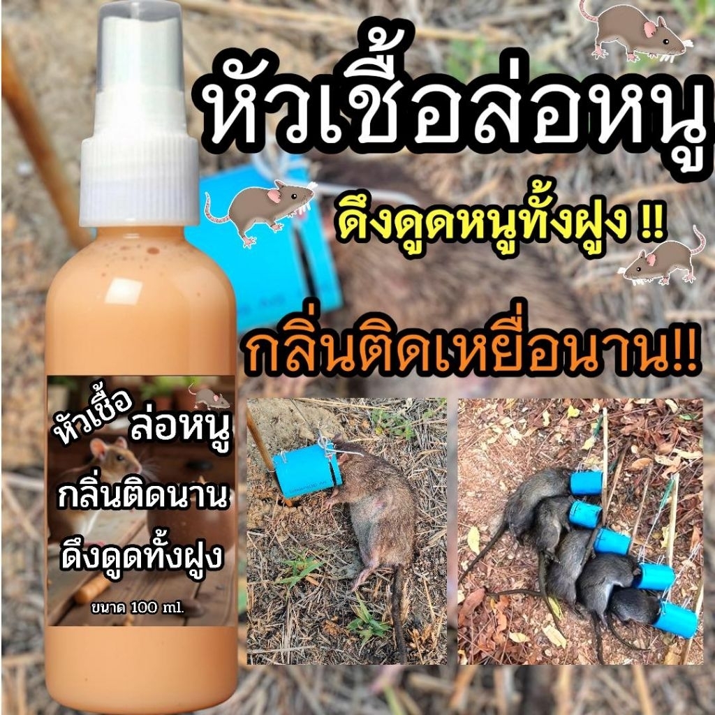หัวเชื้อล่อหนูนา กลิ่นวนิลา สูตรเข้มข้น ขนาด100ml. กลิ่นแรง ได้กลิ่นไกล ดึงดูดฝูง มีตัวเป็นโดน เห็นผลไว - รูปที่ 3