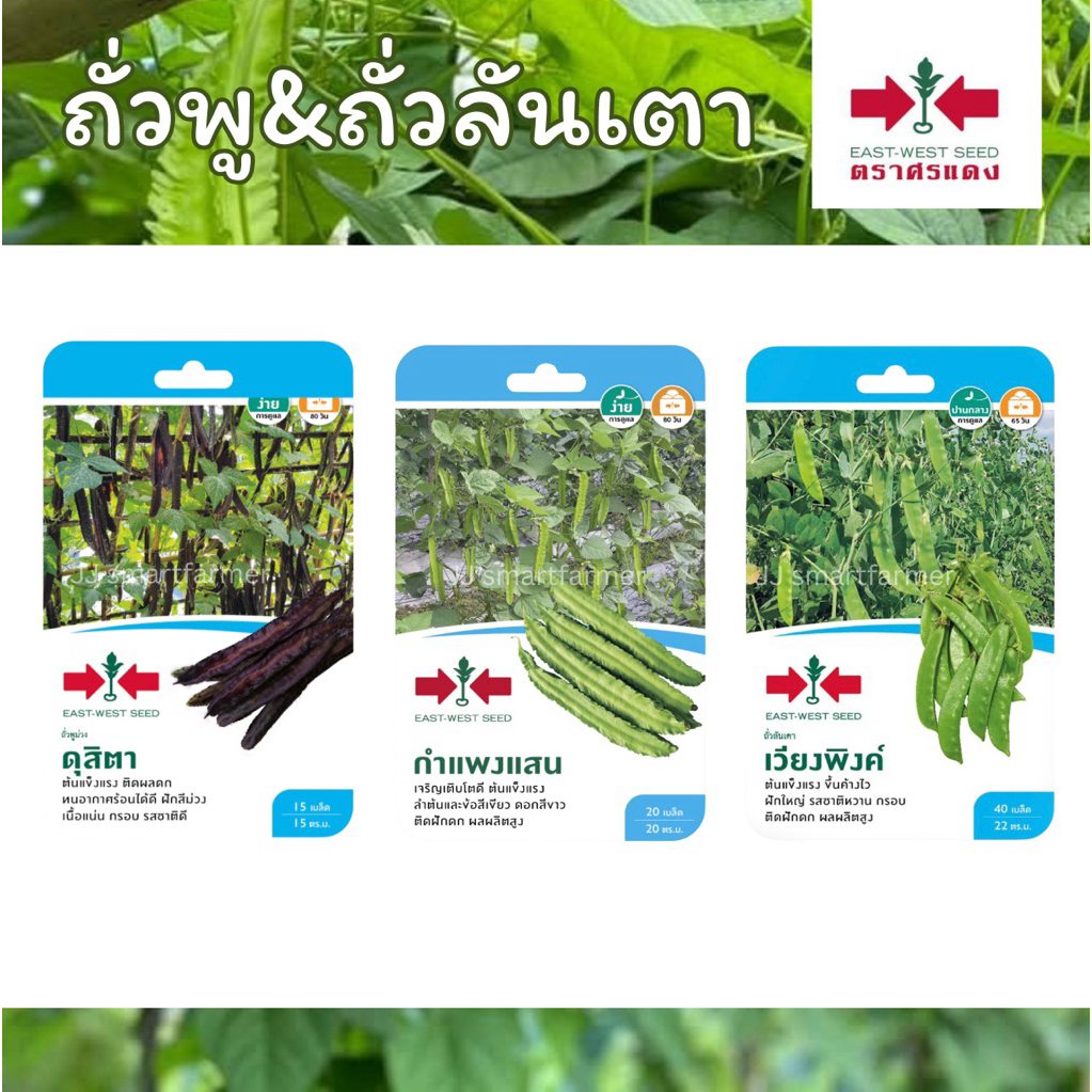 เมล็ดถั่วพู,ถั่วลันเตา (เมล็ดซอง ตราศรแดง)🫛ดุสิตา,กำแพงแสน,เวียงพิงค์