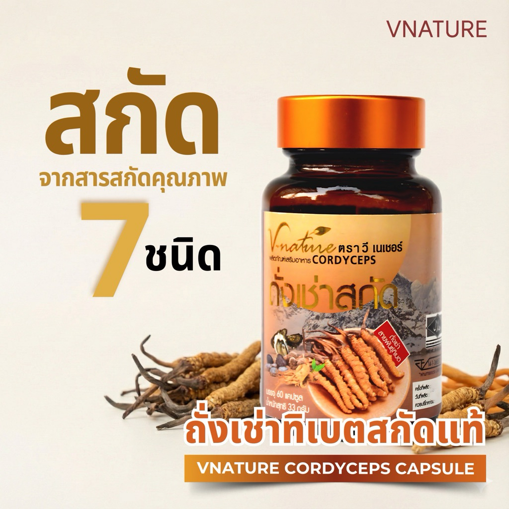 ถั่งเช่าทิเบตสกัด VNATURE Cordyceps 60 แคปซูล