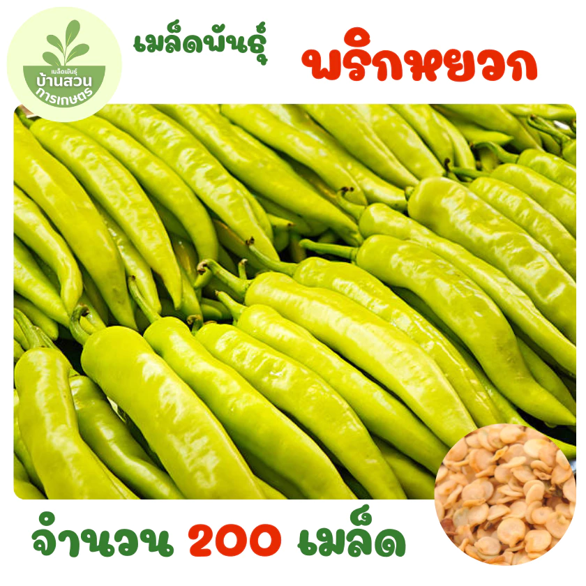 เมล็ดพันธุ์พริกหยวก จำนวน 200 เมล็ด
