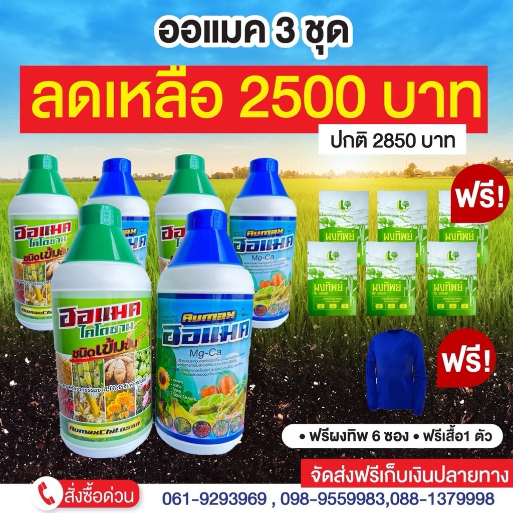 ออแมค 3 ชุด แถมผงทิพย์ 6ซอง