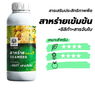 ฮอร์โมน [สาหร่ายทะเลเข้มข้นสูตรน้ำ] 1L ทำใบ ดึงดอก บำรุงต้น แก้ต้นโทรม ใบเหลือง ปุ๋ยน้ำ ปุ๋ยเหยี่ยวดำ