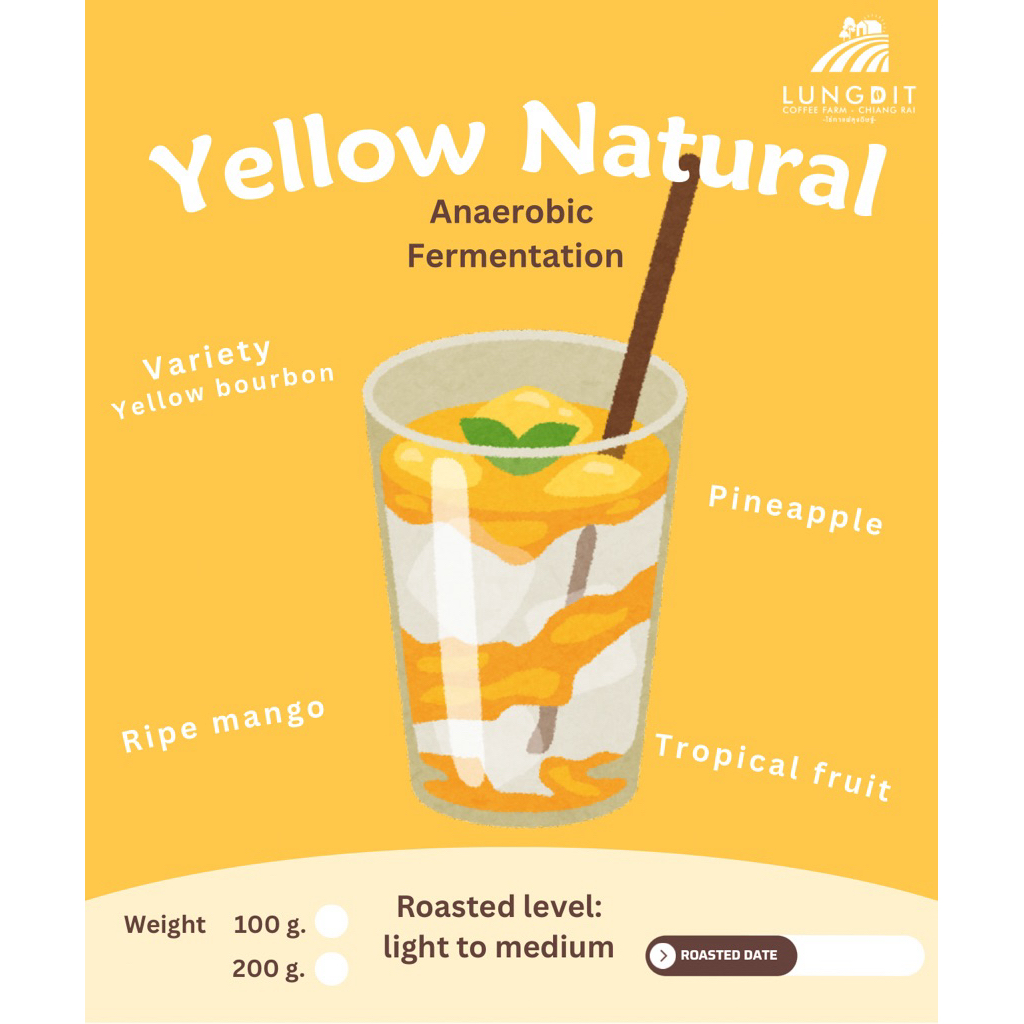 เมล็ดกาแฟคั่วขุนลาว Yellow Natural