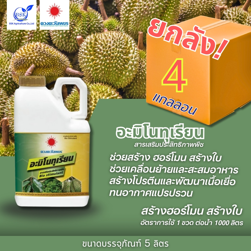 (ยกลัง5L*4) อะมิโนทุเรียน แกลลอน 5 L (ดวงตะวันเพชร)