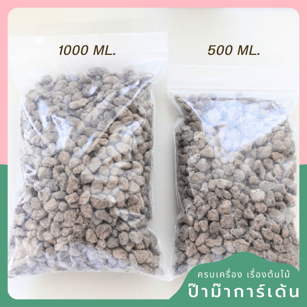 มุมมอง 2