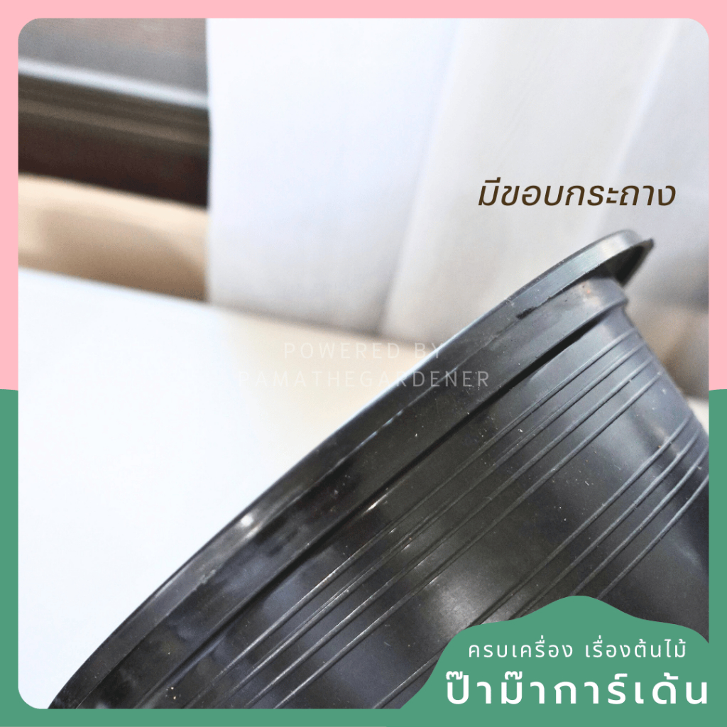 มุมมอง 3