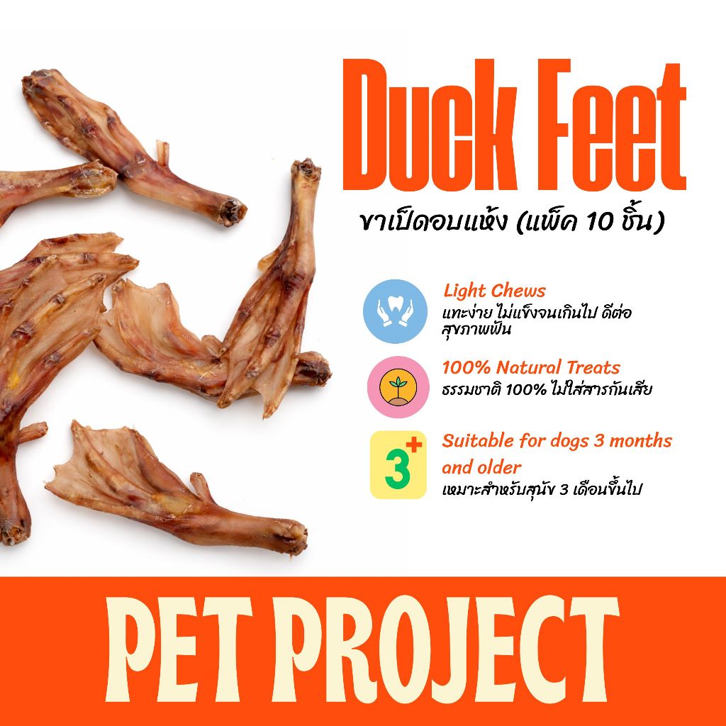 Pet Project ขาเป็ดอบแห้ง 10 ชิ้น ขนมขัดฟันสุนัข ไม่มีสารปรุงแต่ง จากธรรมชาติ 100%