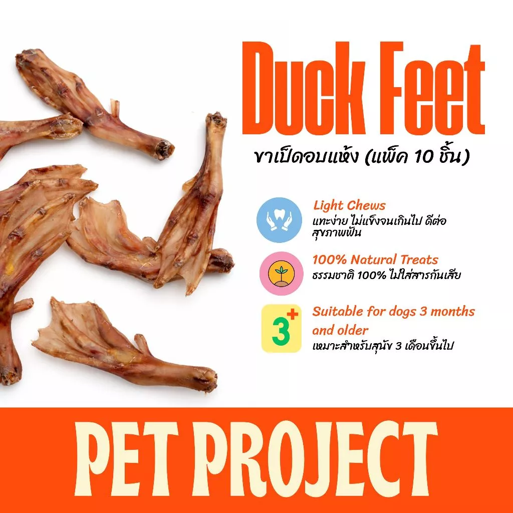 Pet Project ขาเป็ดอบแห้ง 10 ชิ้น ขนมขัดฟันสุนัข ไม่มีสารปรุงแต่ง จากธรรมชาติ 100%