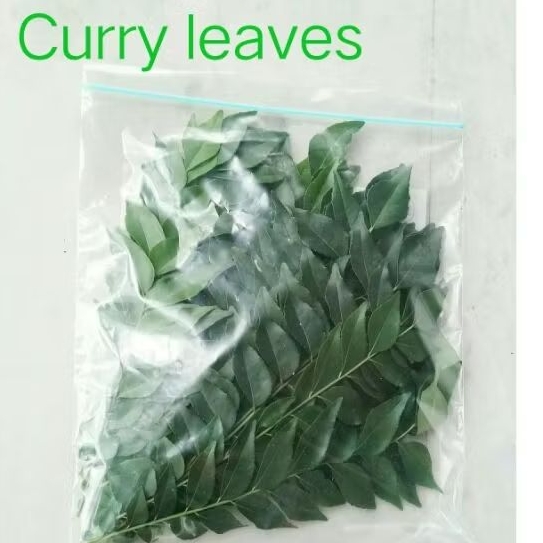 Fresh curry leaves 100 g. ใบหมุย ใบหอมแขก Khadi patta Karapincha  curry leave daun kari