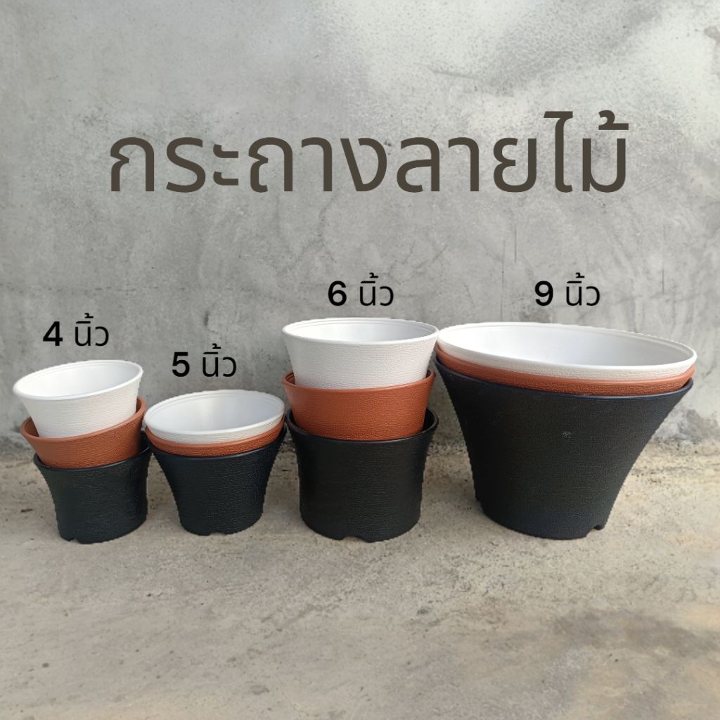 กระถางลายไม้ 4-5-6-9 นิ้ว กระถางแคคตัส