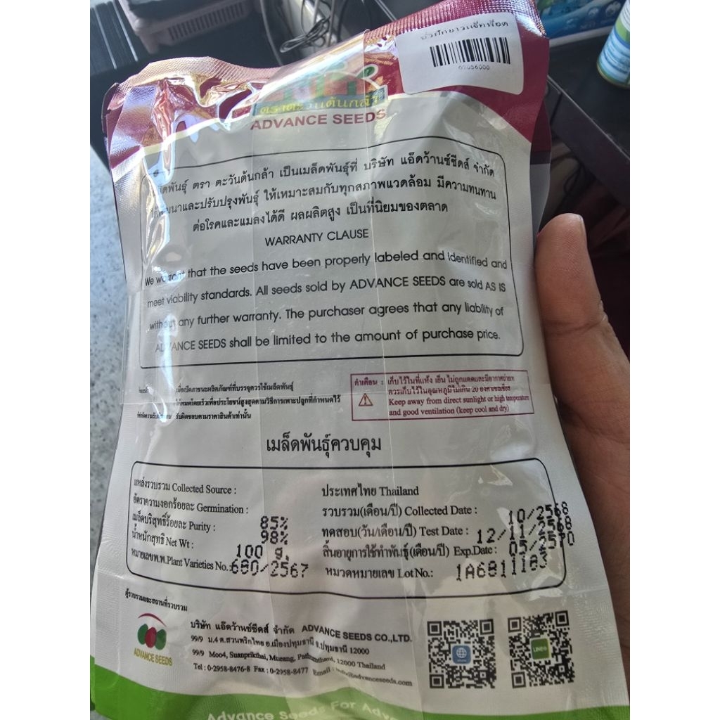 เมล็ดถั่วฝักยาว แจ๊คพ็อต ขนาด 100 กรัม ถั่วเนื้อ ทนไวรัสใบด่าง ตราตะวันต้นกล้า - รูปที่ 2