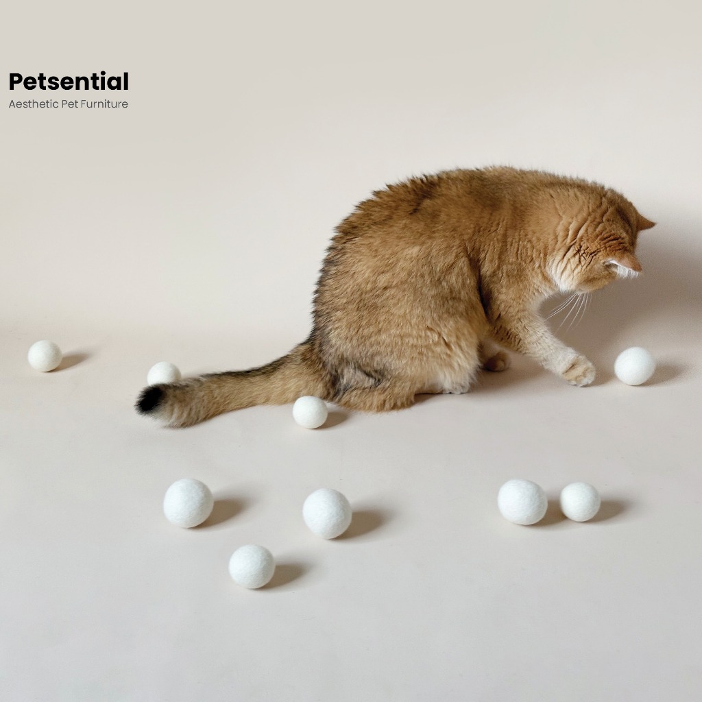 รีวิว Petsential ลูกบอลวูลขนแกะ: ของเล่นแมวปลอดภัย ทนทาน ซักได้
