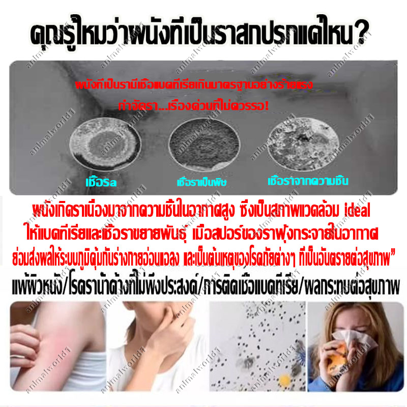 ซ่อมแซมผนังที่ขึ้นราได้อย่างรวดเร็ว น้ำยาขจัดราผนัง สเปรย์กำจัดราดำ ใช้ง่าย ปลอดภัย ไม่มีกลิ่นฉุน - รูปที่ 2