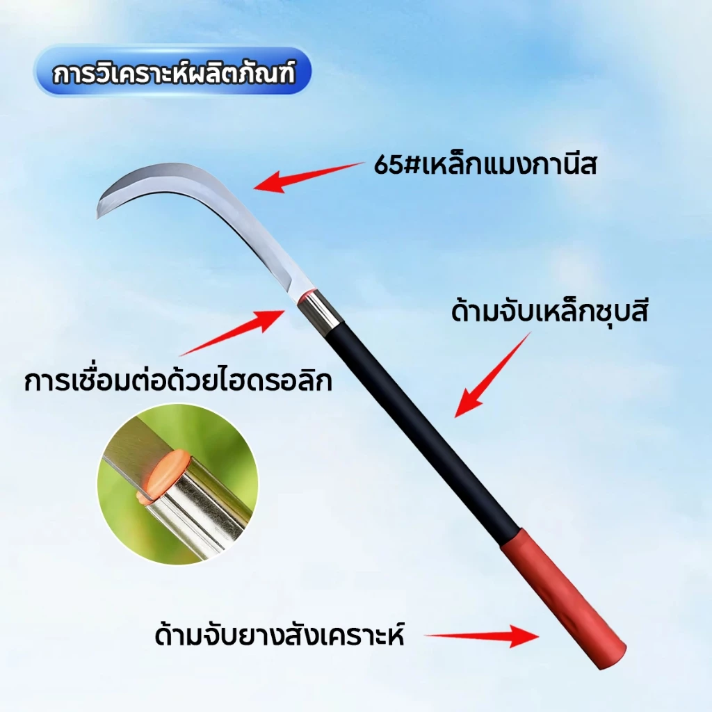 SK5 คมกริบ เหล็กแมงกานิส มีดพร้า มีดขอชัก มีดขอชักกล้วย ตัดแต่งใบกล้วย มีดตัดกล้วย มีดทำสวน มีดตัดแต่งกิ่งไม้ ด้ามยาว thumbnail 10
