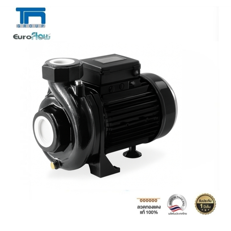 EUROFLOW ปั๊มน้ำหอยโข่ง รุ่น WR100 1HP ท่อเข้า - ท่อออก 1.5นิ้ว  1แรงม้า