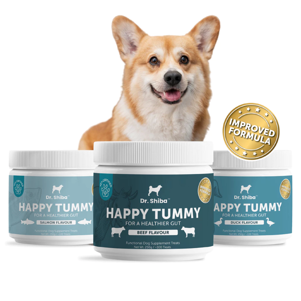 *พัฒนาสูตรใหม่* แพ็ค 3 กระปุก Dr. Shiba Happy Tummy (ช่วยระบบทางเดินอาหาร,ลำไส้) รสเนื้อ/เป็ด/แซลมอน 250 กรัม