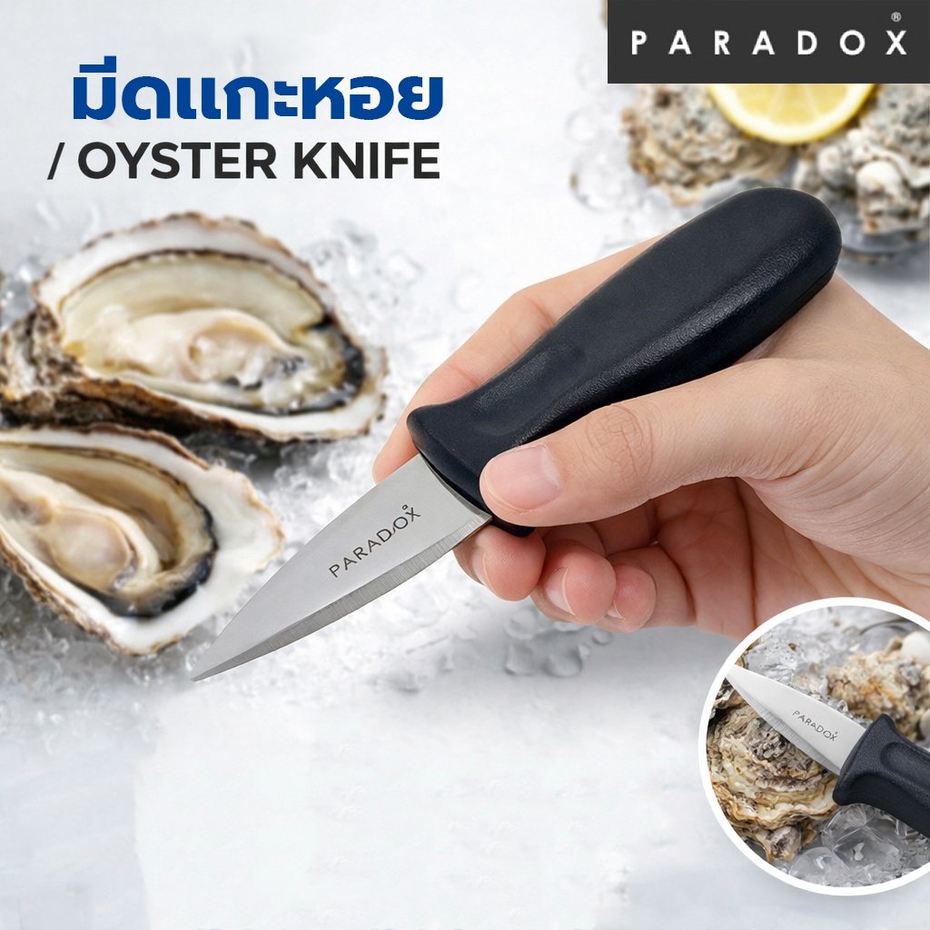 Paradox : มีดเเกะหอย OYSTER KNIFE KT204118 – โปรปัง