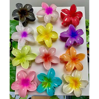 ที่หนีบผมดอกไม้ มีหลายแบบ มีราคาส่ง. 12 ชิ้น P001