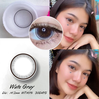 Midroo คอนแทคเลนส์ 14.2 มม Wate Brown/Grey คอนแทคเลนส์ตาหวาน…