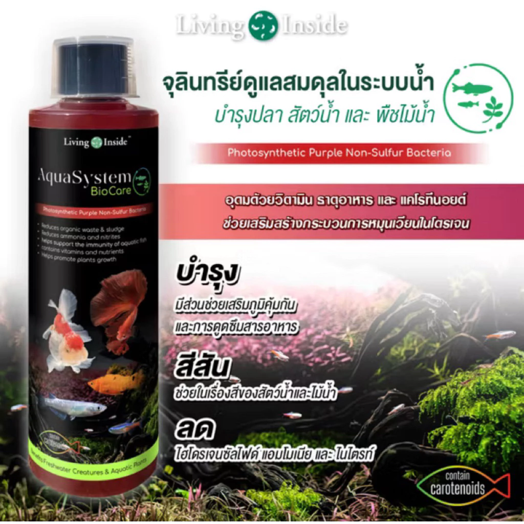Aquasystem Biocare 250ml จุลินทรีย์ดูแลสมดุลในระบบน้ำ อ่างปลา ผสมสารอาหารและแร่ธาตุสำหรับบำรุงต้นไม้น้ำ Living Inside