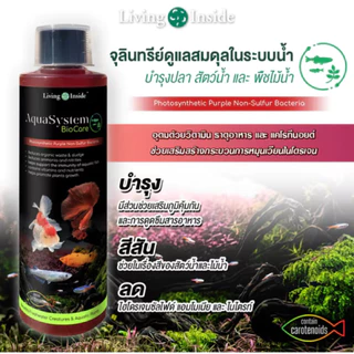 Aquasystem Biocare 250ml จุลินทรีย์ดูแลสมดุลในระบบน้ำ อ่างปลา ผสมสารอาหารและแร่ธาตุสำหรับบำรุงต้นไม้น้ำ Living Inside