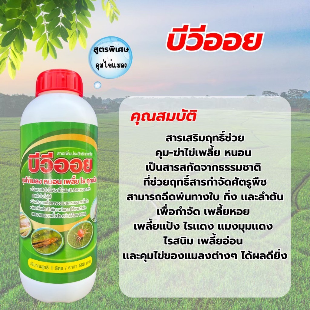 บีวีออย (ขนาด 1 ลิตร) สารสกัดน้ำมันจากธรรมชาติ สารเสริมฤทธิ์ช่วย คุม-ฆ่าไข่เพลี้ย หนอน ปลอดภัยต่อผู้ใช้เเละสิ่งเเวดล้อม ราคา ถูกที่สุด ดีลบีเคเค แกลเลอรีภาพที่ 2