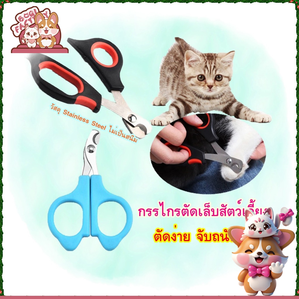 Boqi Factory กรรไกรตัดเล็บหมา แมว กรรไกรตัดเล็บสัตว์เลี้ยง แมว สุนัข หมา กระต่าย  Pet Nail Clipper  5019-5021