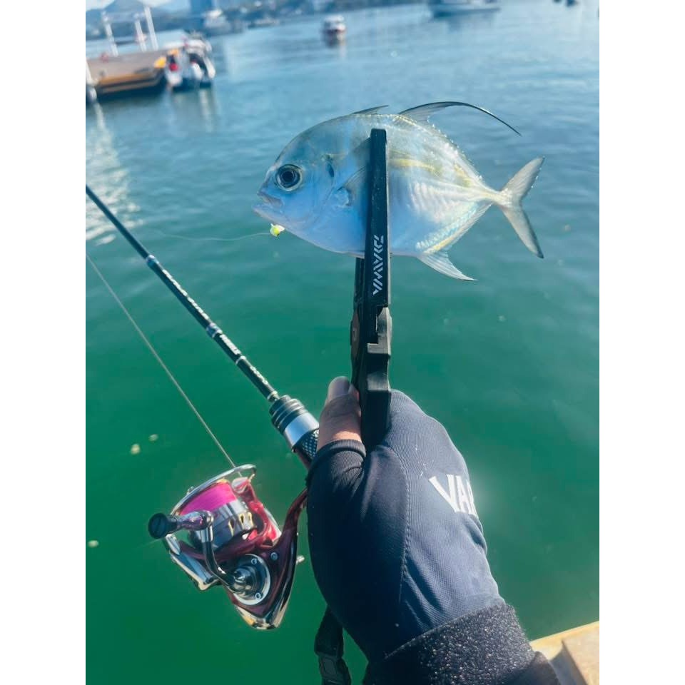 Ajing เหยื่อยาง Wormboy รุ่น Nam Tao น้ำเต้า 1.0 นิ้ว สำหรับตกปลา Ajing และ Light Game / Wormboy Nam Tao 1.0