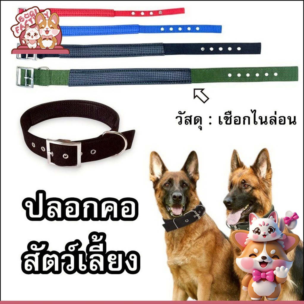 Boqi Factory ปลอกคอสัตว์เลี้ยง สายรัดบุด้วยโพลีโพรพีลีน มี 4 ขนาด คละสี 3001